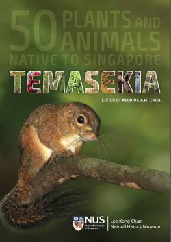 Temasekia cover